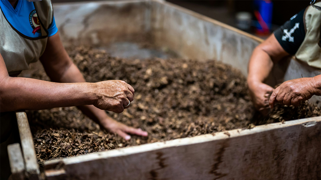 Two people working in a compost bin with wooden sides Two people working in a compost bin with wooden sides
