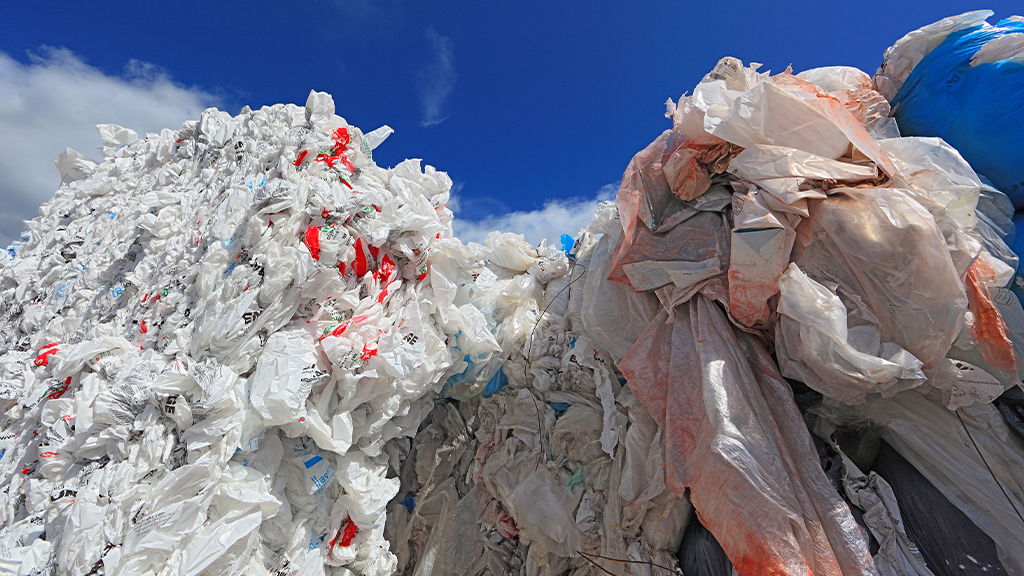 Post-consumer plastic recovery tops 5.1 billion pounds in U.S., per 2024 study Post-consumer plastic recovery tops 5.1 billion pounds in U.S., per 2024 study