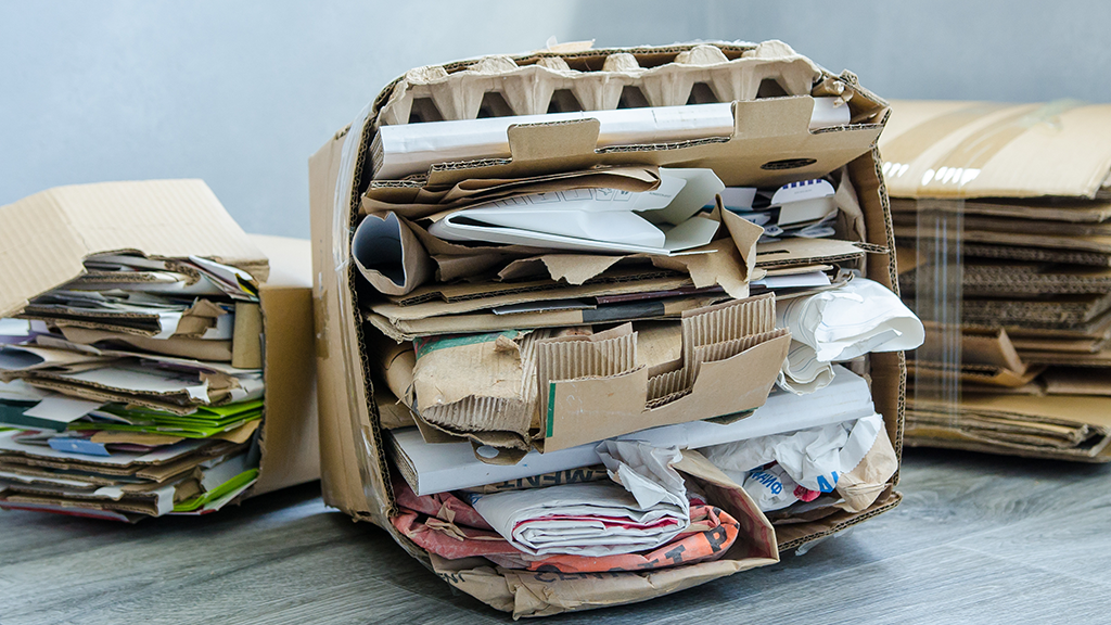 Q&A: Shoshana Micon of the AF&PA on what EPR implementation means for paper producers