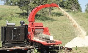 22-inch capacity chipper