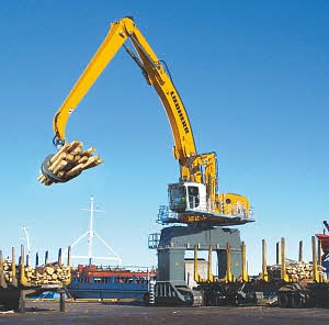 LH 120 C Gantry Litronic Material Handlers LH 120 C Gantry Litronic Material Handlers