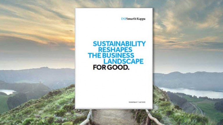 More Than A Third Of Companies Say Sustainability Is Driving All R D 