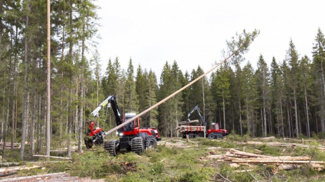 Komatsu to test Cut-to-Length method in forestry operations